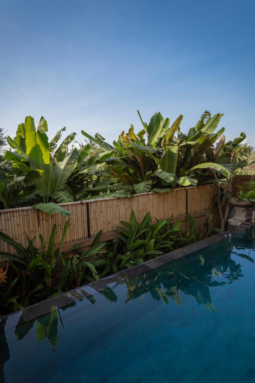 Umah Tikari Guesthouse Canggu Exterior foto